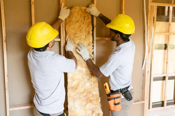 Best Insulation for New Construction  in Dortches, NC