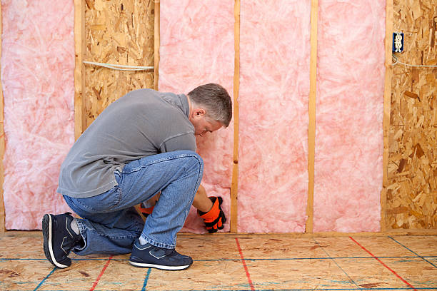 Best Spray Foam Insulation  in Dortches, NC