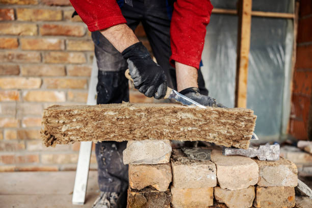 Best Residential Insulation Services  in Dortches, NC