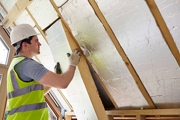 Best Attic Insulation Installation  in Dortches, NC