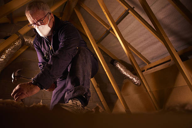 Best Fiberglass Insulation  in Dortches, NC