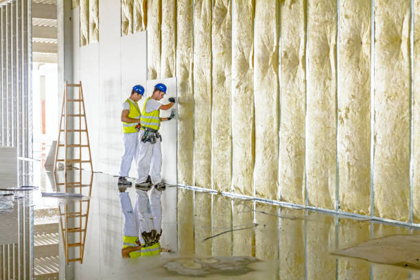 Best Wall Insulation Contractor  in Dortches, NC